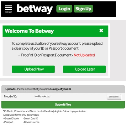 When Professionals Run Into Problems With betway cashout, This Is What They Do